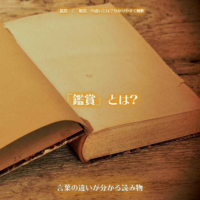 鑑賞 と 観賞 の違いとは 分かりやすく解釈 言葉の違いが分かる読み物