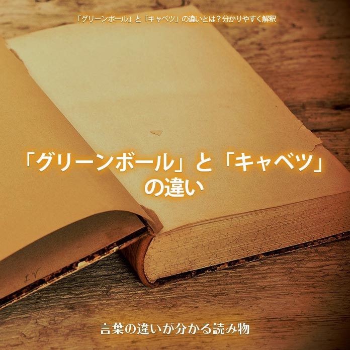 「グリーンボール」と「キャベツ」の違い