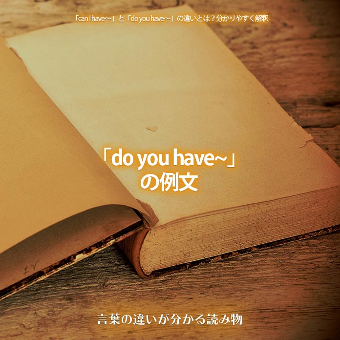 「do you have~」の例文
