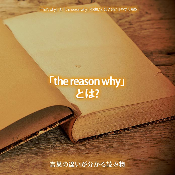 「the reason why」とは?