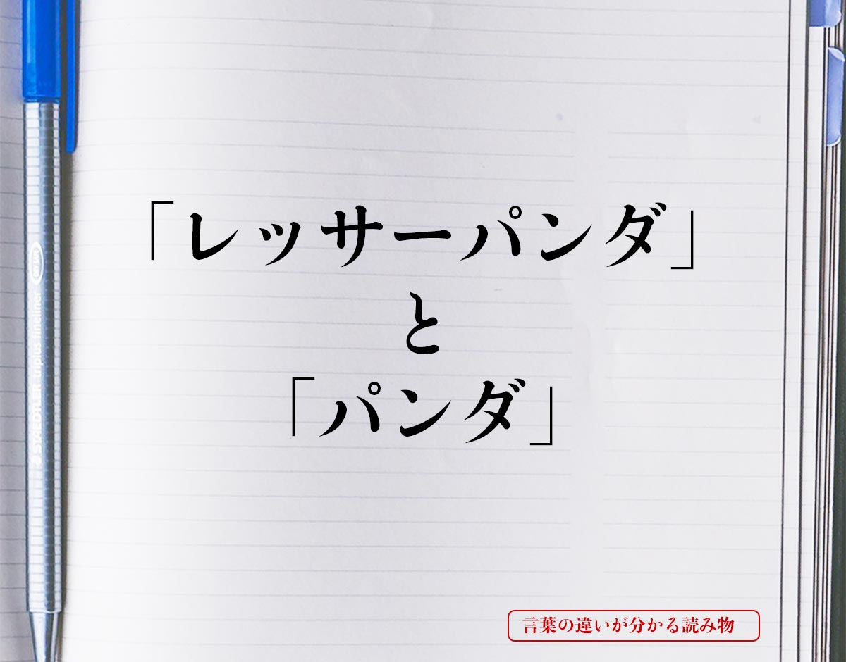 「レッサーパンダ」と「パンダ」の違い