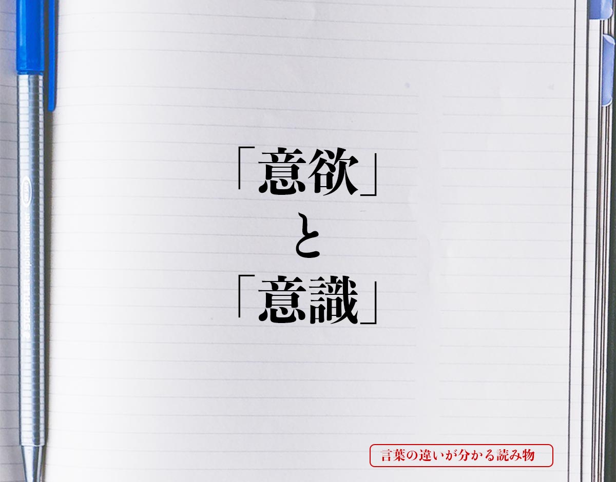 意欲 と 意識 の違いとは 分かりやすく解釈 言葉の違いが分かる読み物