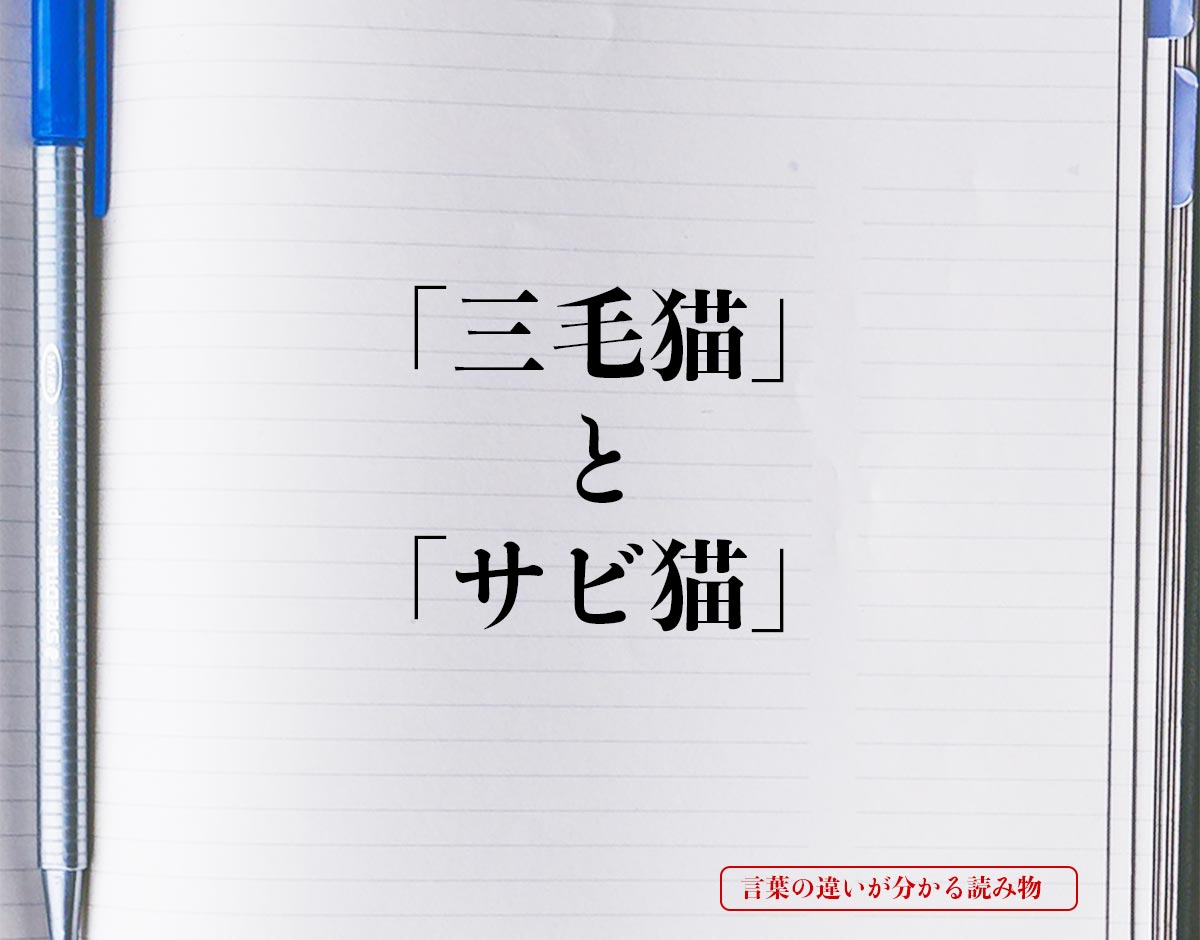 「三毛猫」と「サビ猫」の違い