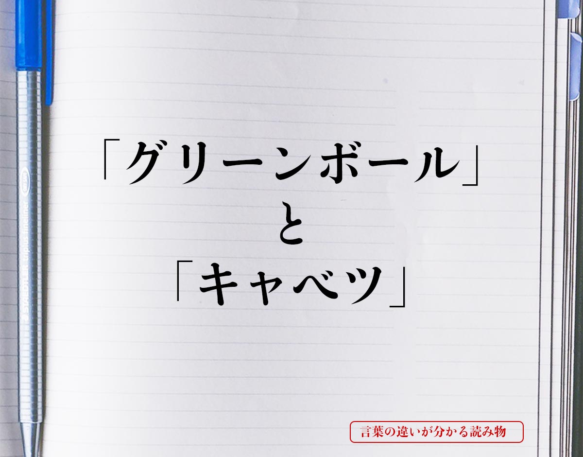 「グリーンボール」と「キャベツ」の違い