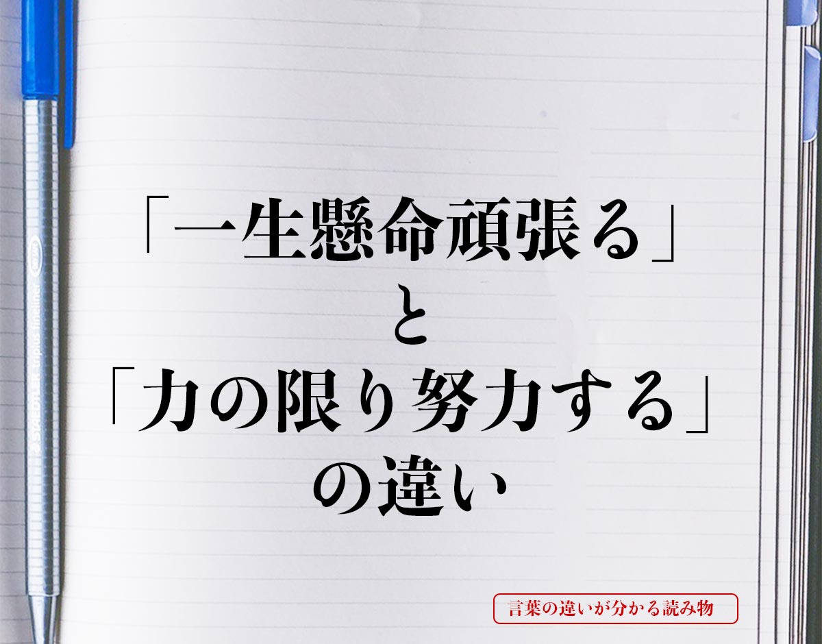 「一生懸命頑張る」と「力の限り努力する」の違いとは？