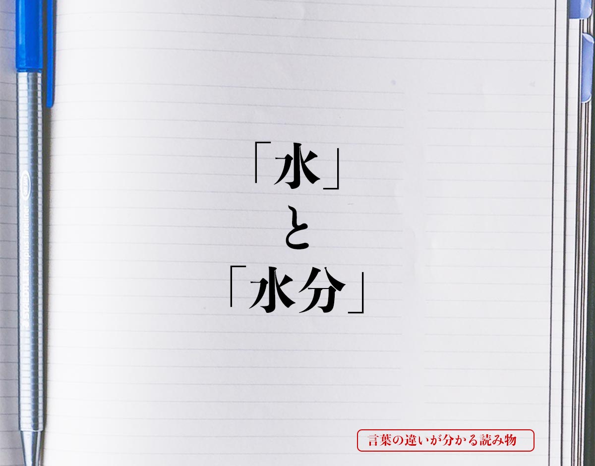 「水」と「水分」の違いとは？