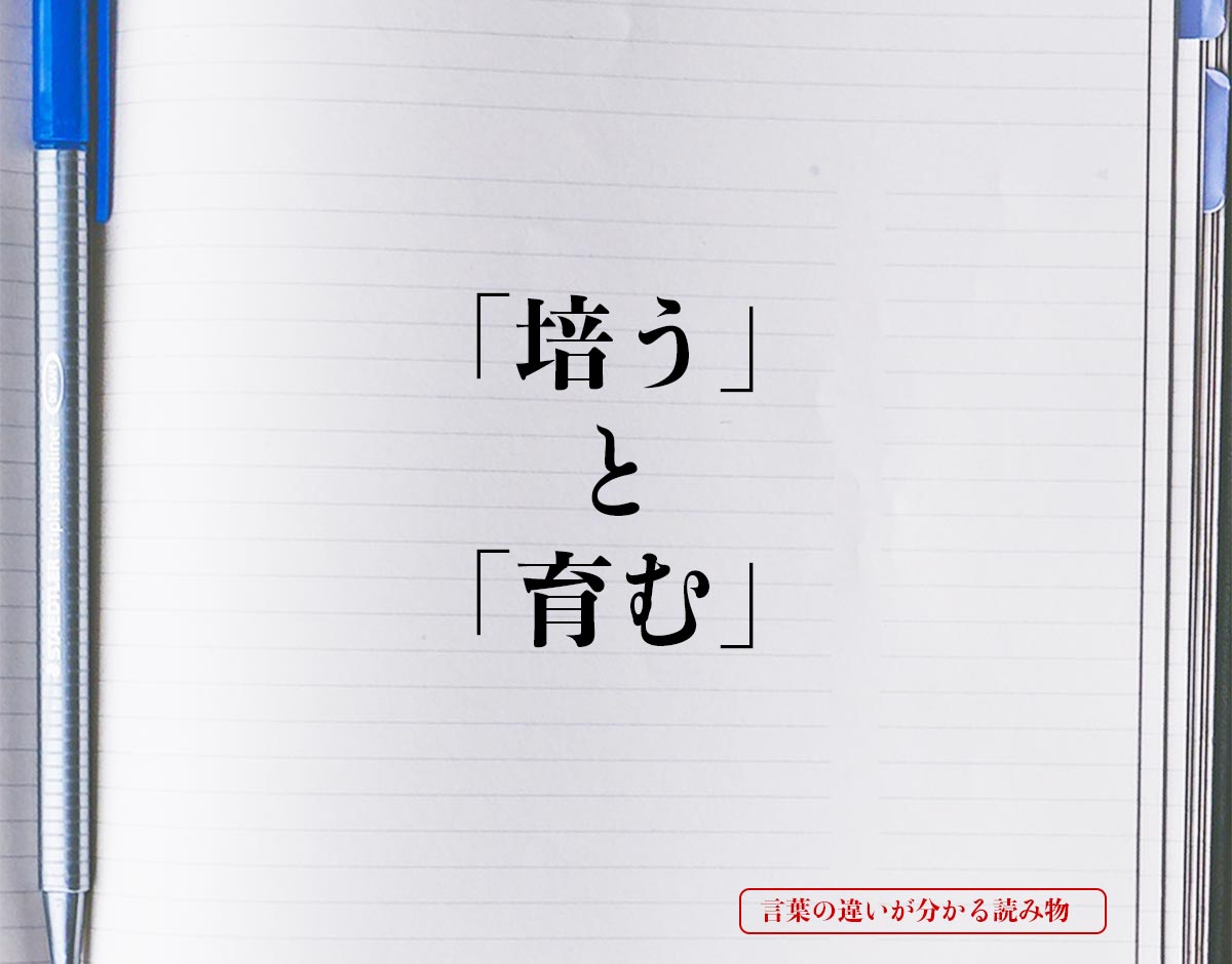 「培う」と「育む」の違いとは？