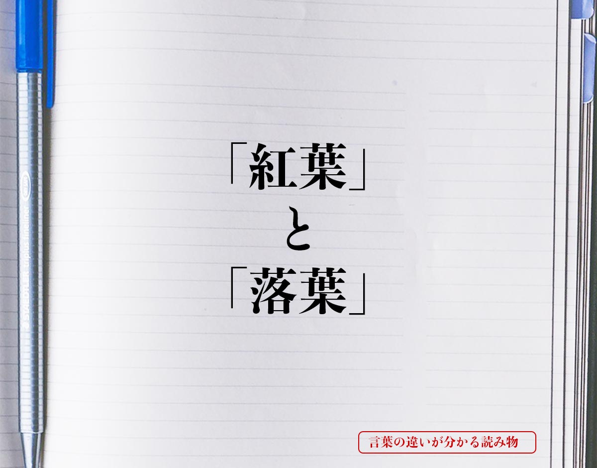 「紅葉」と「落葉」の違いとは？