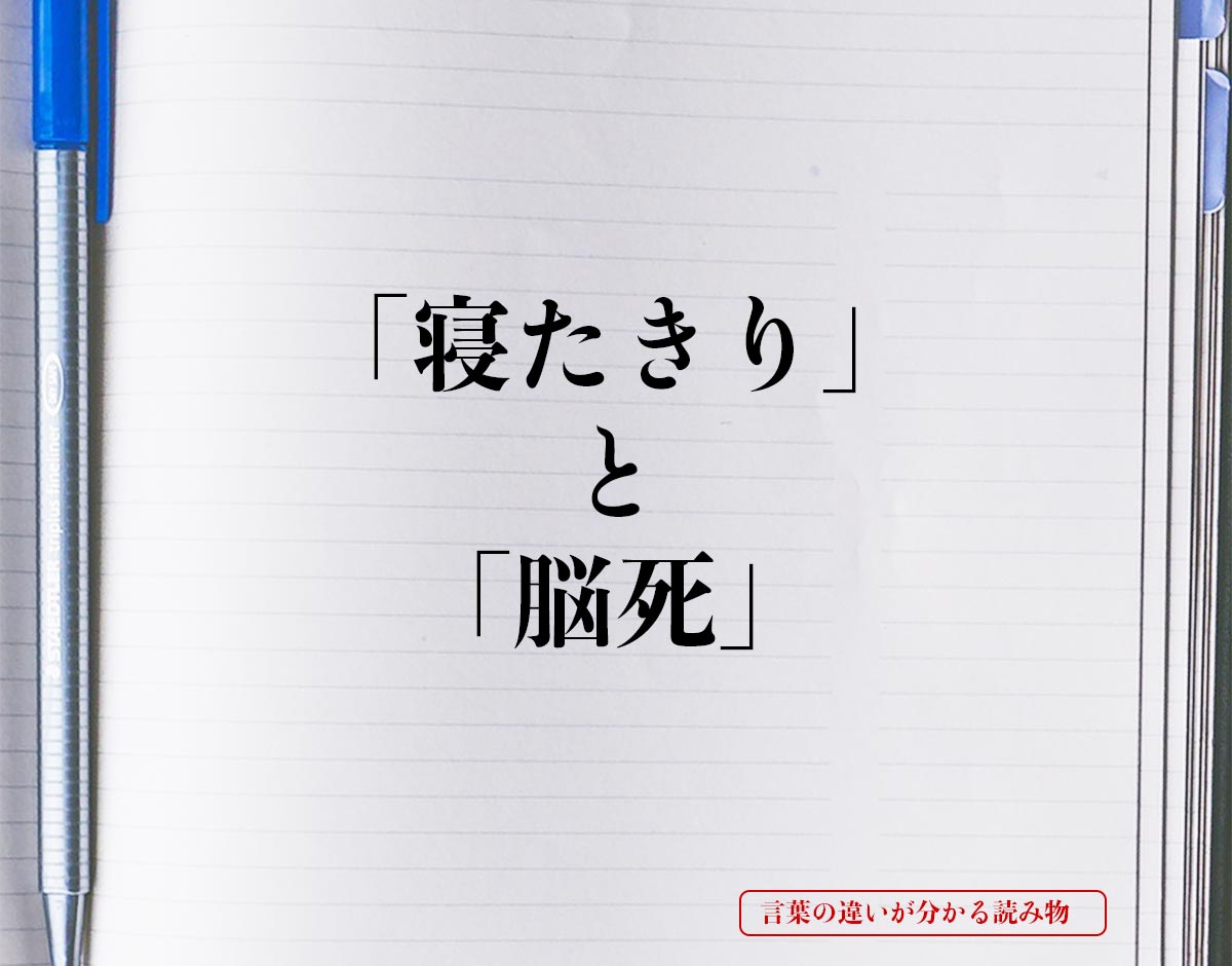 「寝たきり」と「脳死」の違いとは？