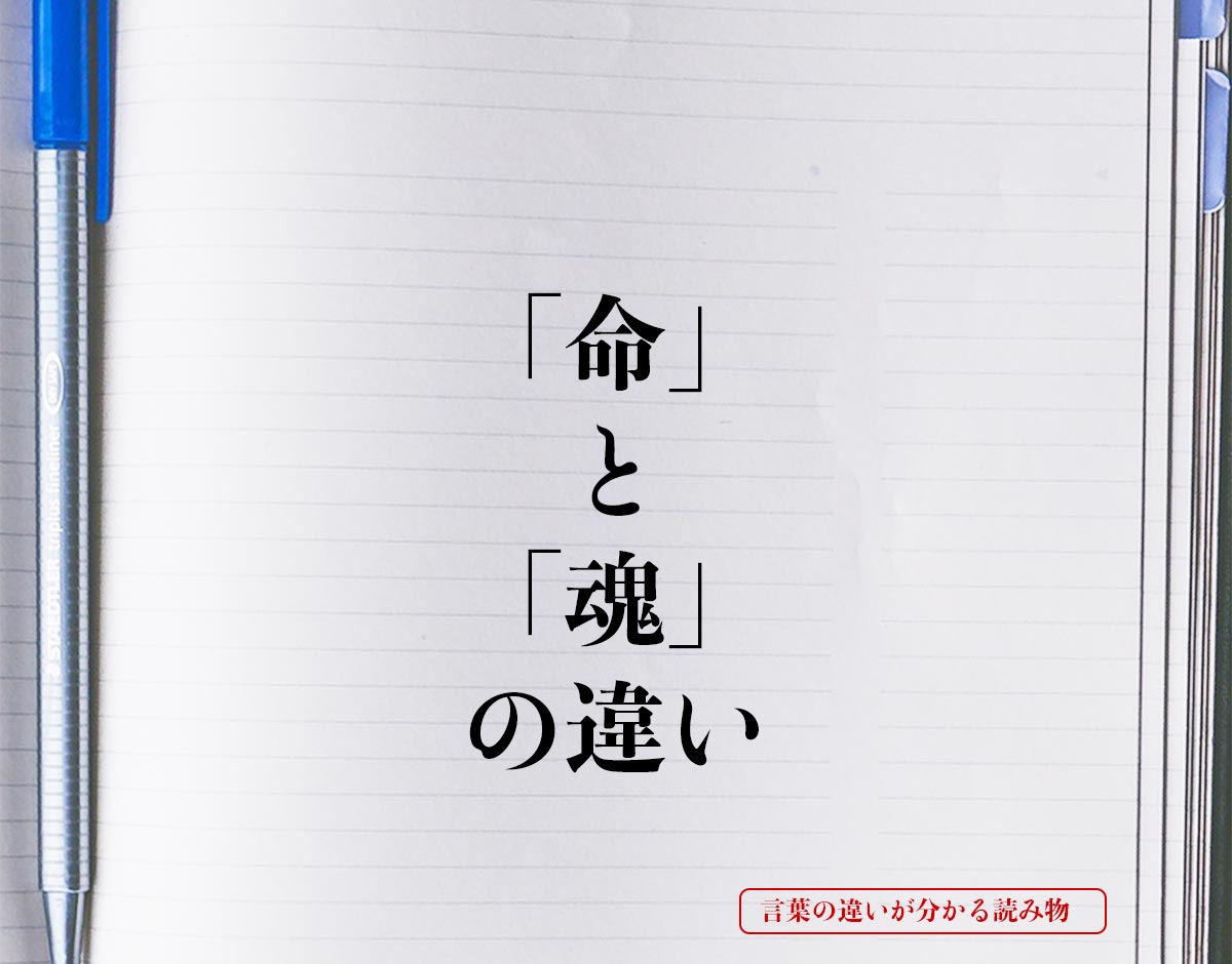 「命」と「魂」の違いとは？