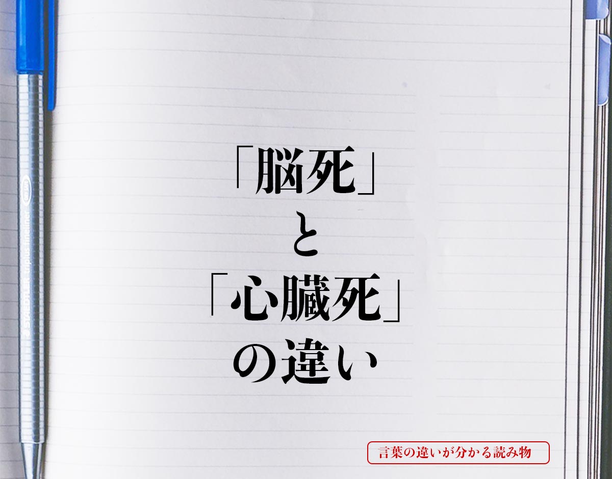 「脳死」と「心臓死」の違いとは？