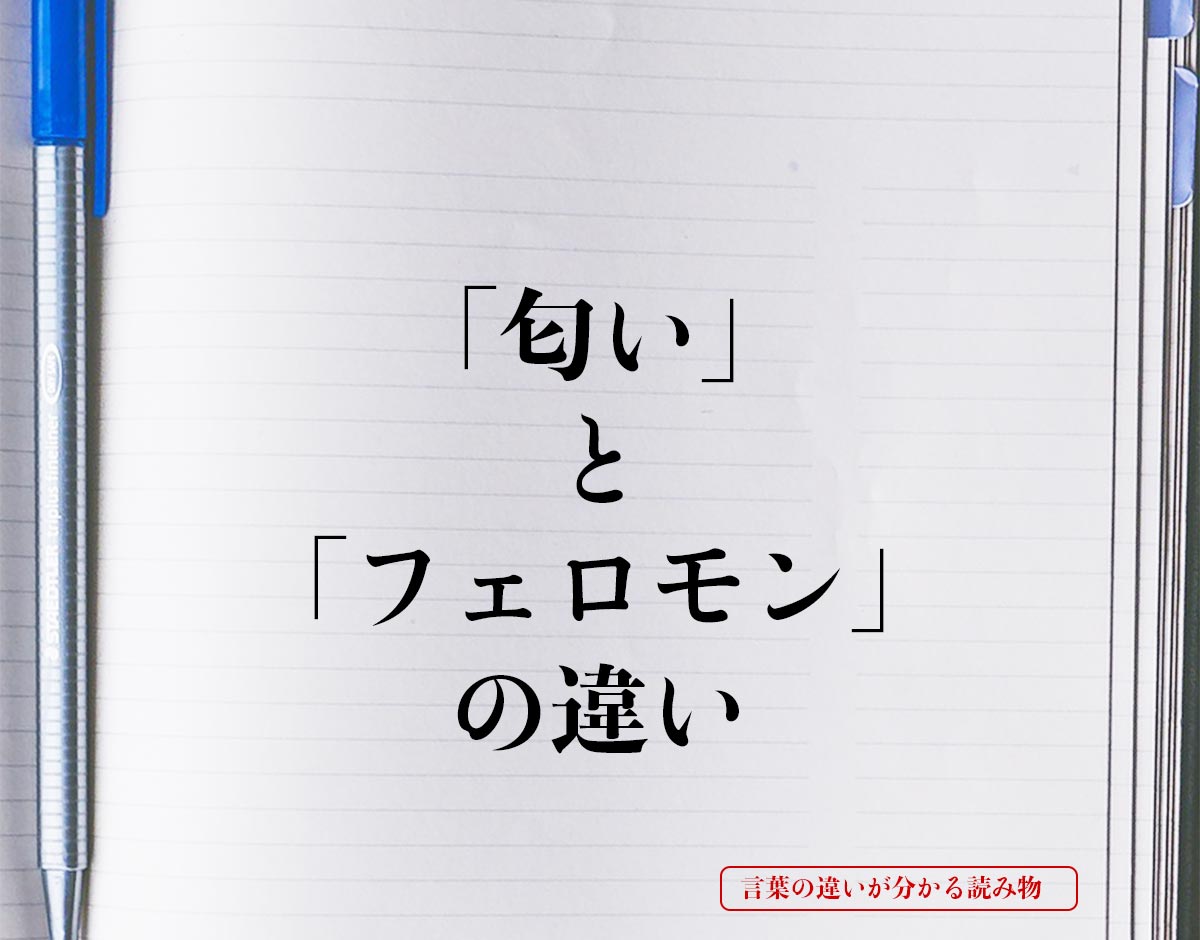 「匂い」と「フェロモン」の違いとは？