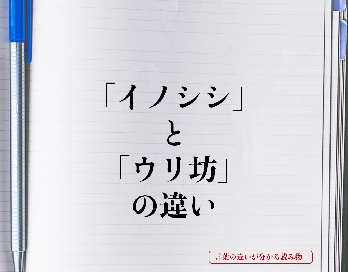 「イノシシ」と「ウリ坊」の違いとは？