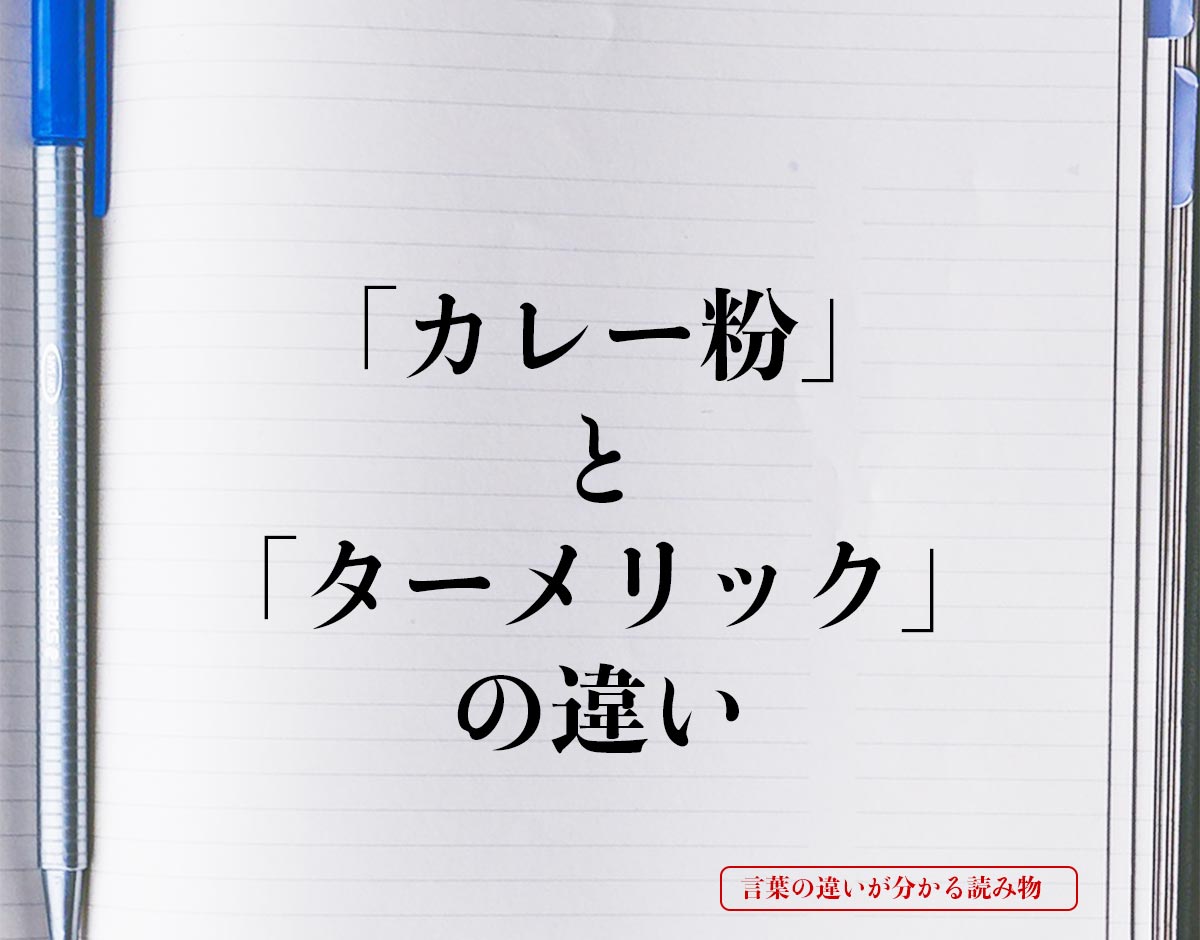 「カレー粉」と「ターメリック」の違いとは？