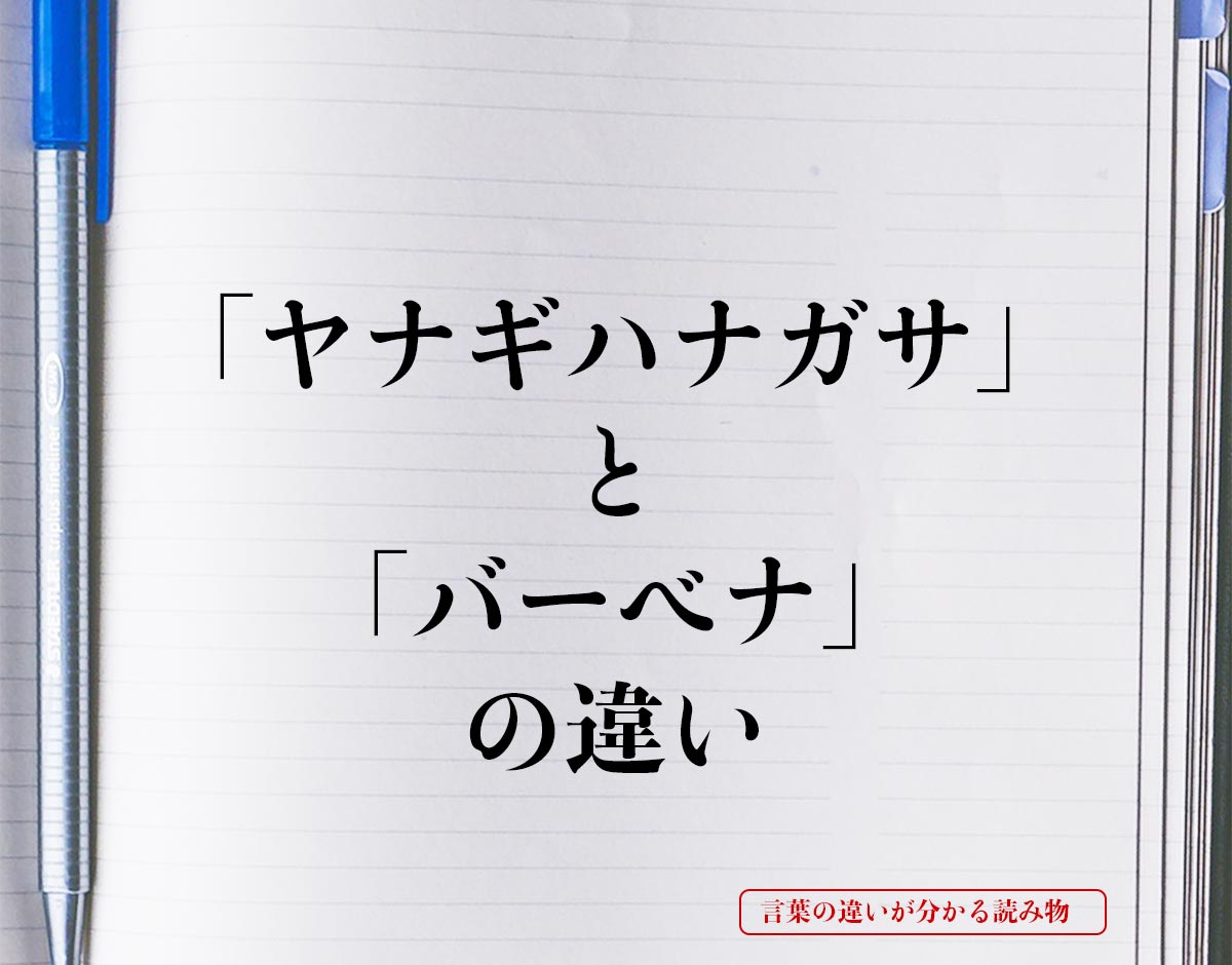 「ヤナギハナガサ」と「バーベナ」の違いとは？