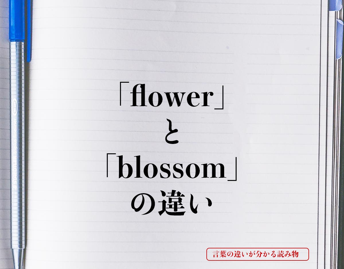 「flower」と「blossom」の違いとは？
