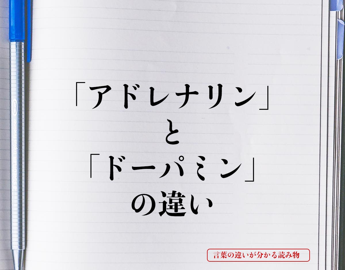 「アドレナリン」と「ドーパミン」の違いとは？