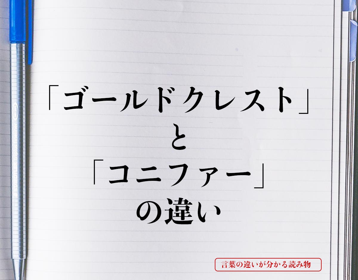 「ゴールドクレスト」と「コニファー」の違いとは？