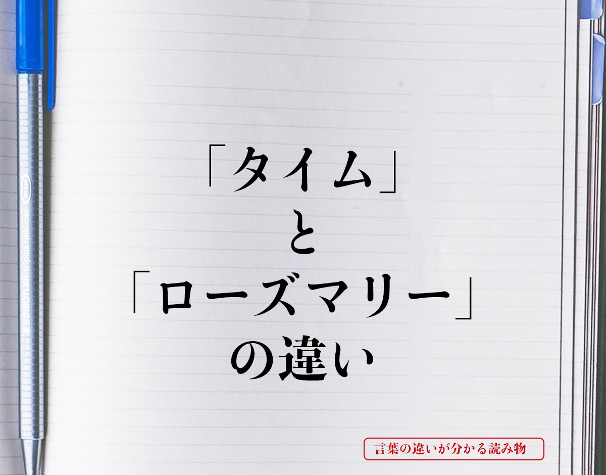 「タイム」と「ローズマリー」の違いとは？