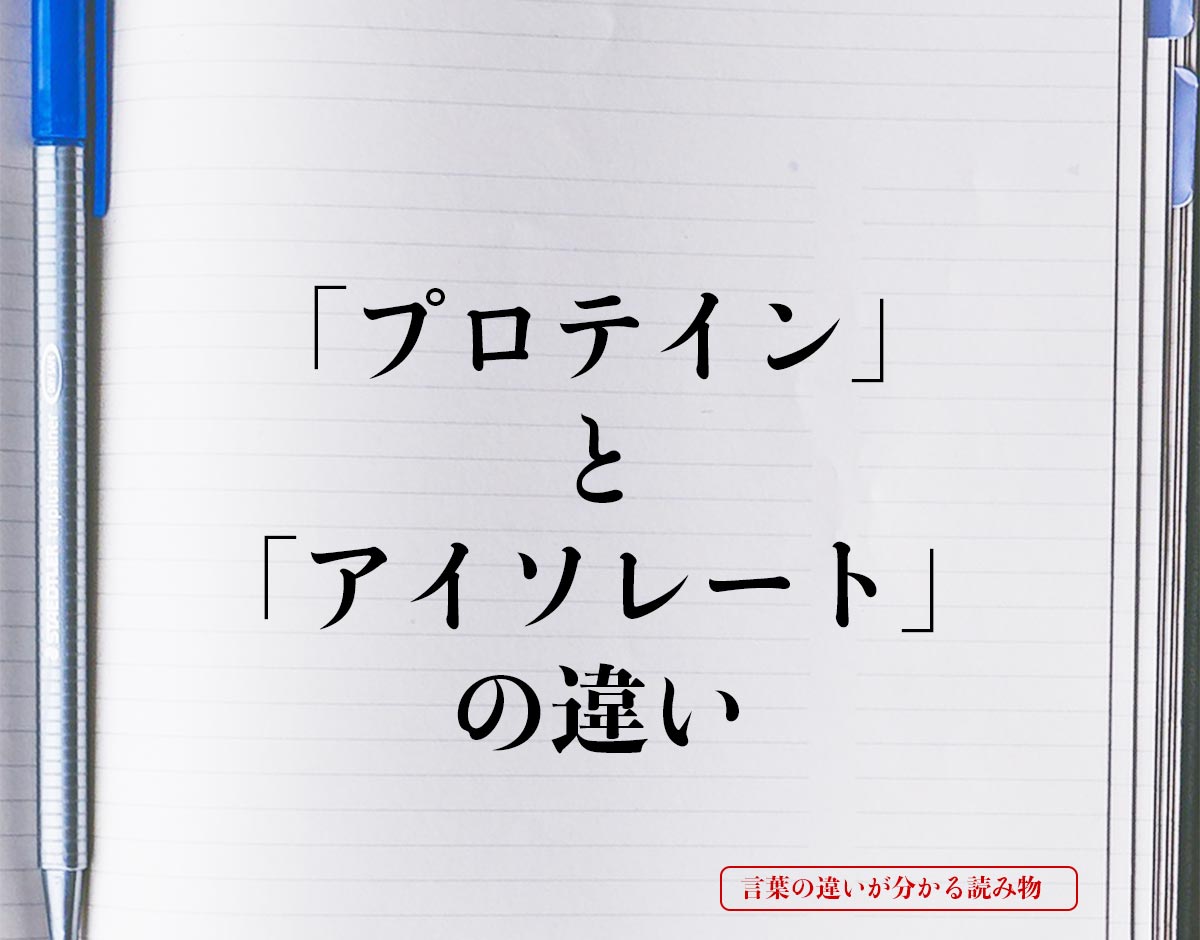 「プロテイン」と「アイソレート」の違いとは？