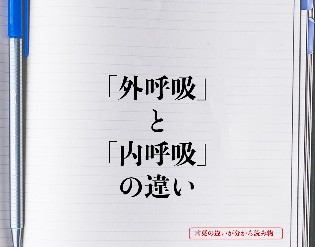 「外呼吸」と「内呼吸」の違いとは？