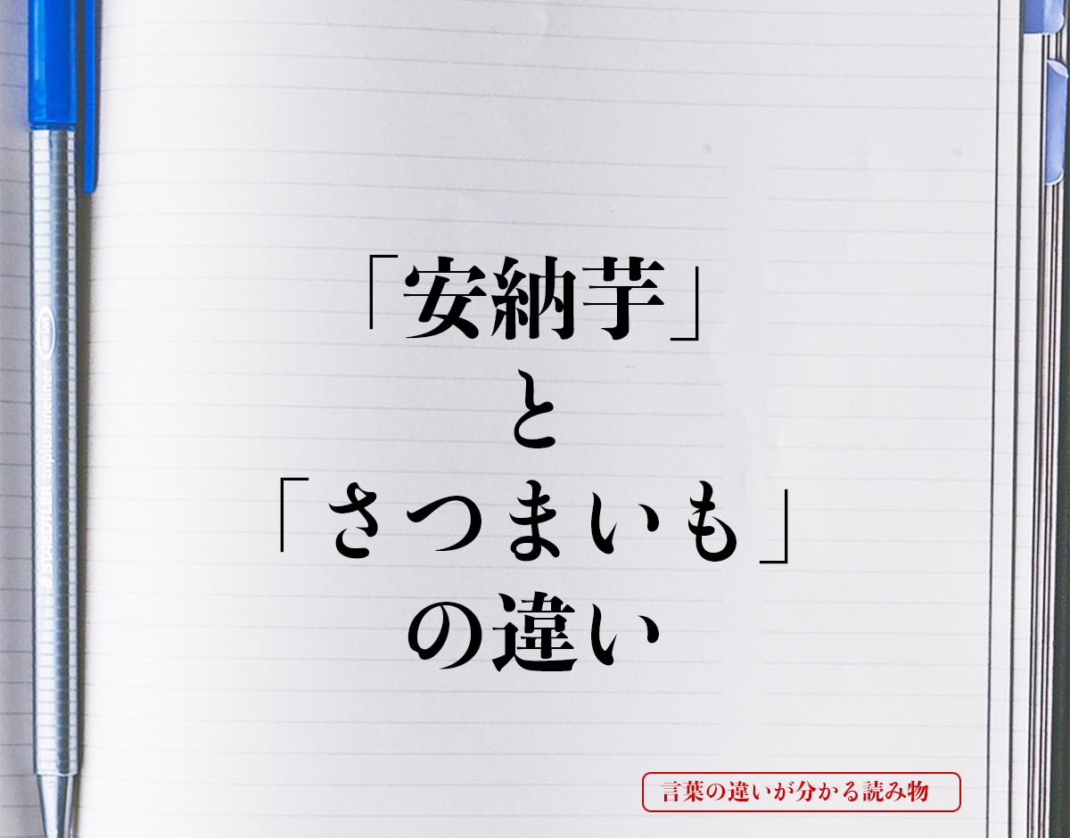 「安納芋」と「さつまいも」の違いとは？