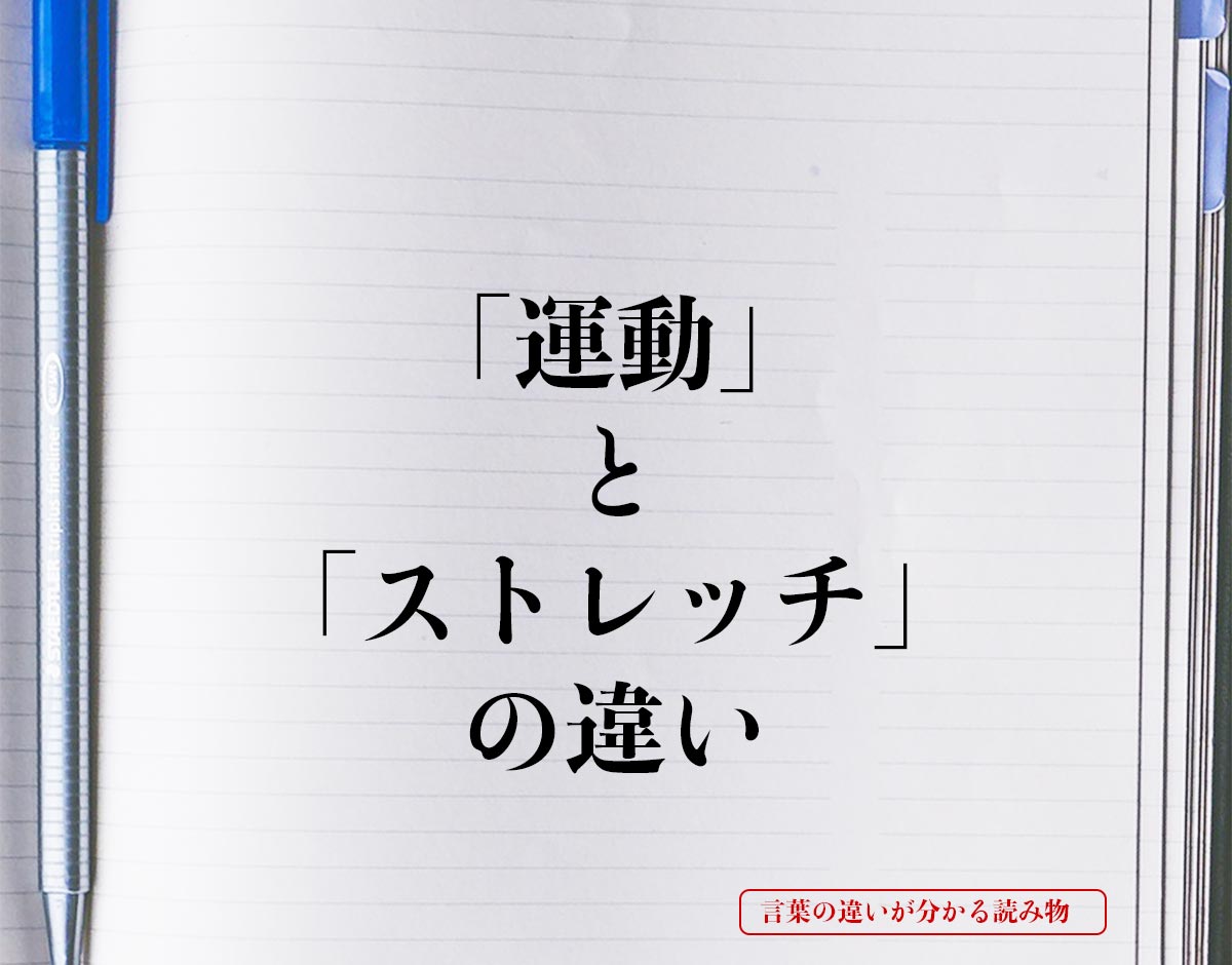 「運動」と「ストレッチ」の違いとは？