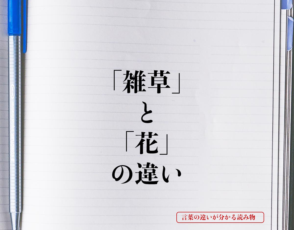 「雑草」と「花」の違いとは？