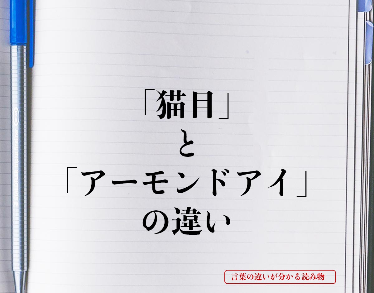 「猫目」と「アーモンドアイ」の違いとは？