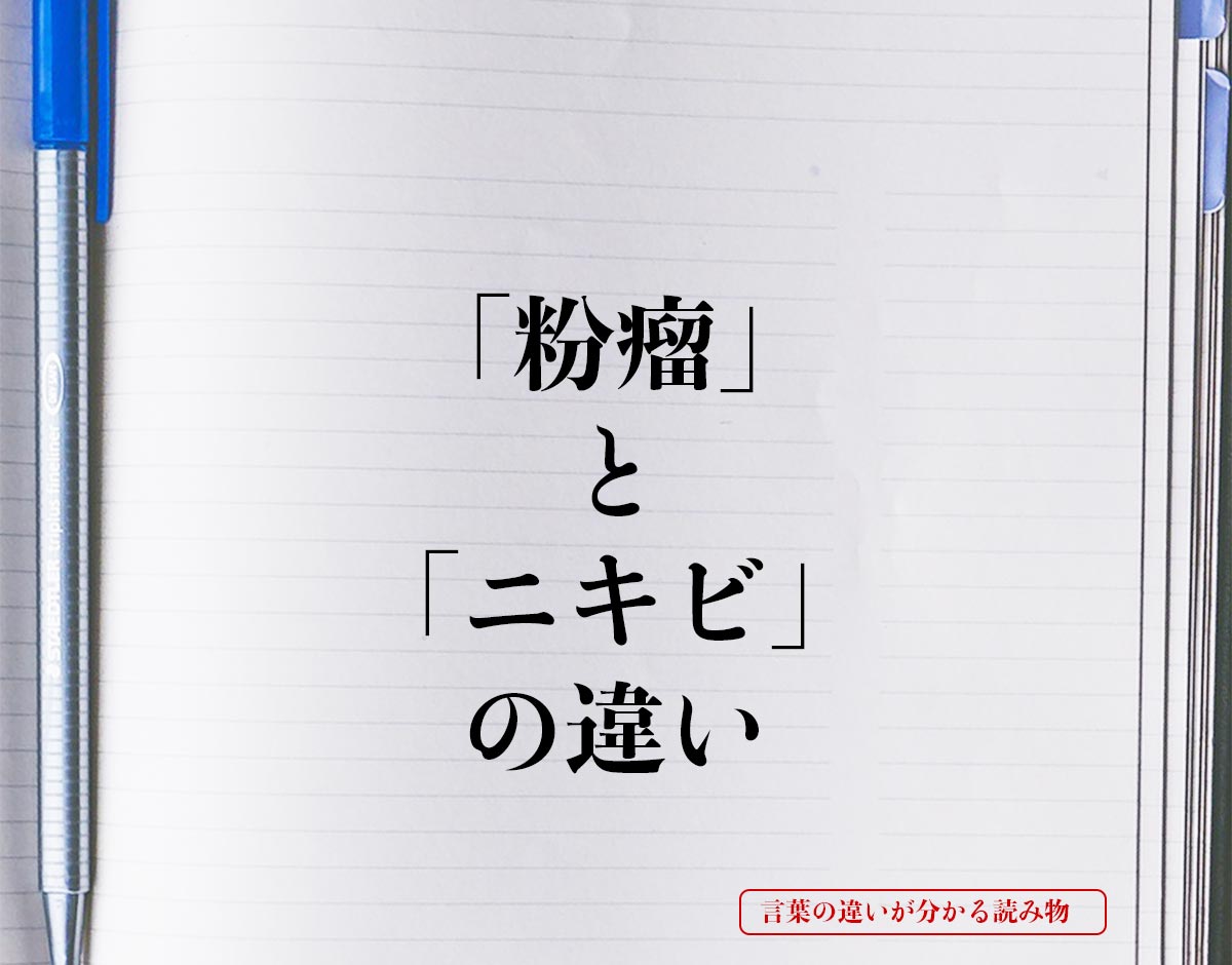 「粉瘤」と「ニキビ」の違いとは？