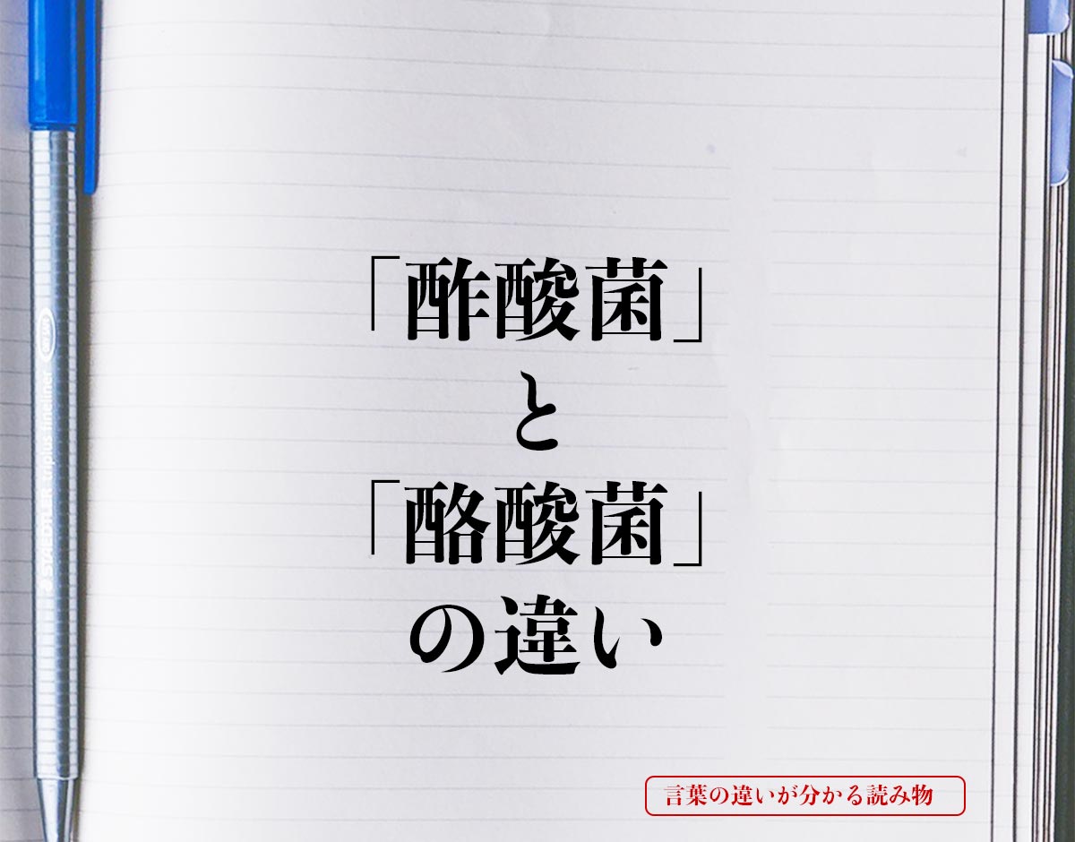 「酢酸菌」と「酪酸菌」の違いとは？