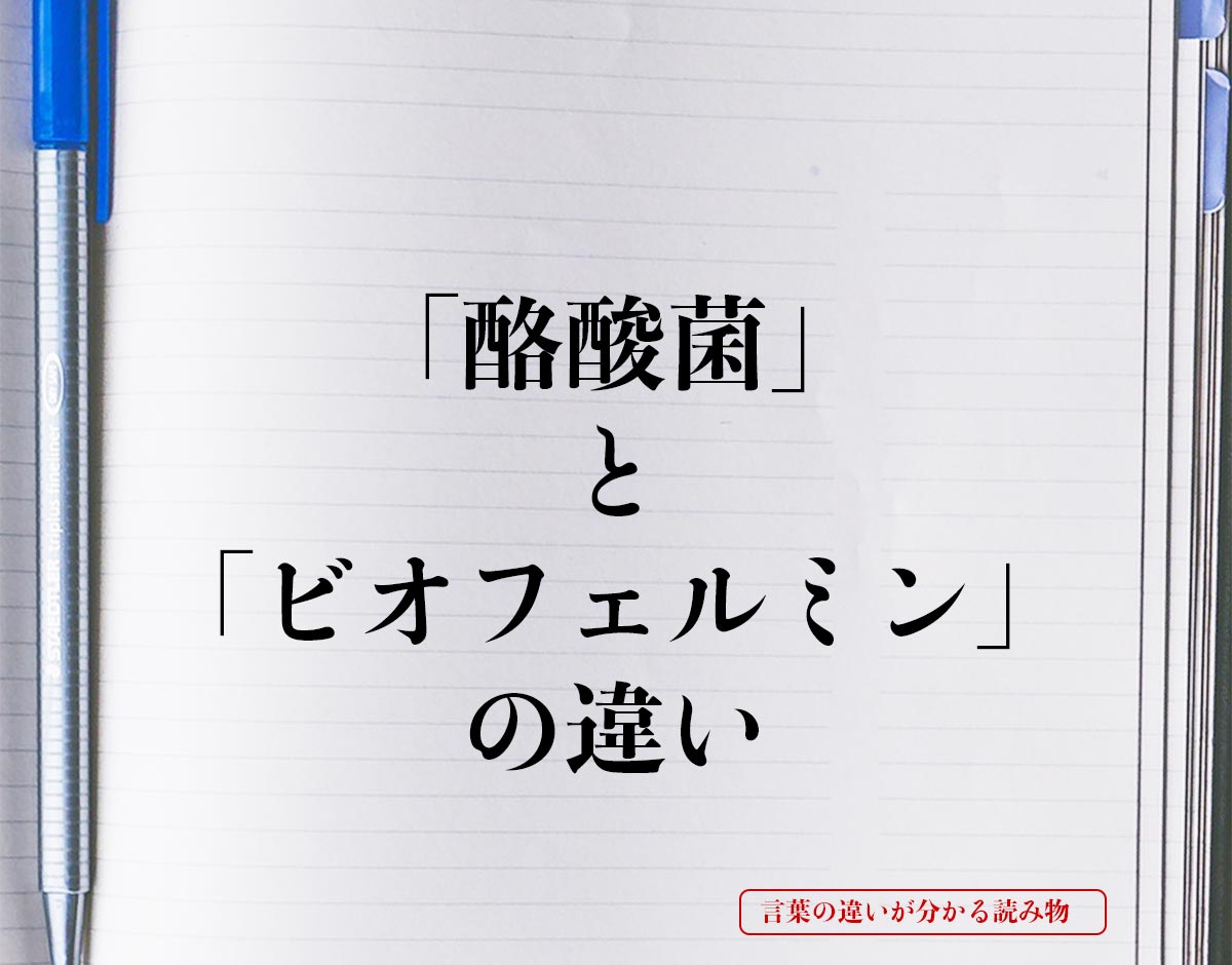 「酪酸菌」と「ビオフェルミン」の違いとは？