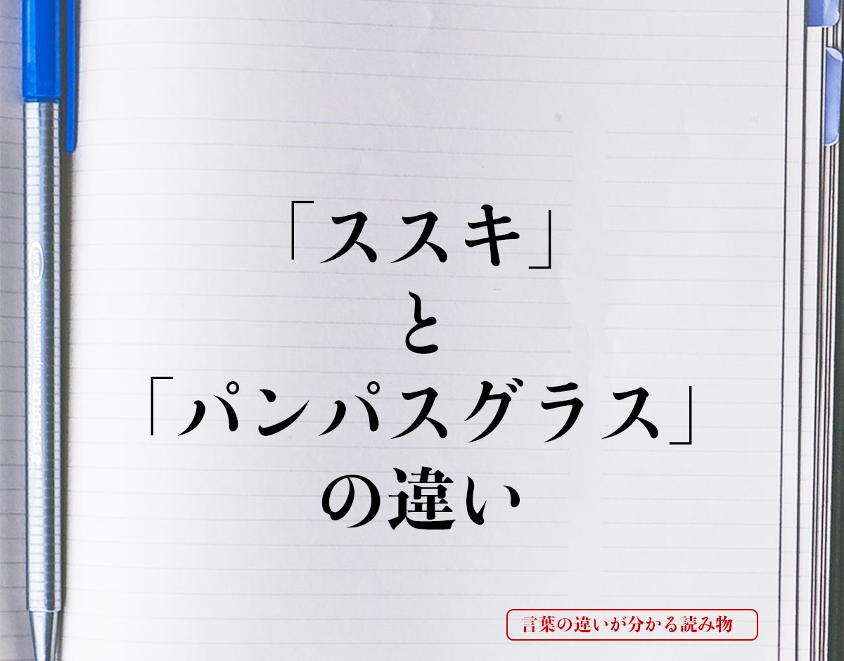 「ススキ」と「パンパスグラス」の違いとは？