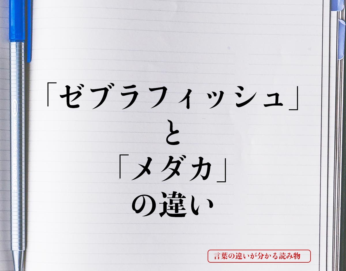 「ゼブラフィッシュ」と「メダカ」の違いとは？