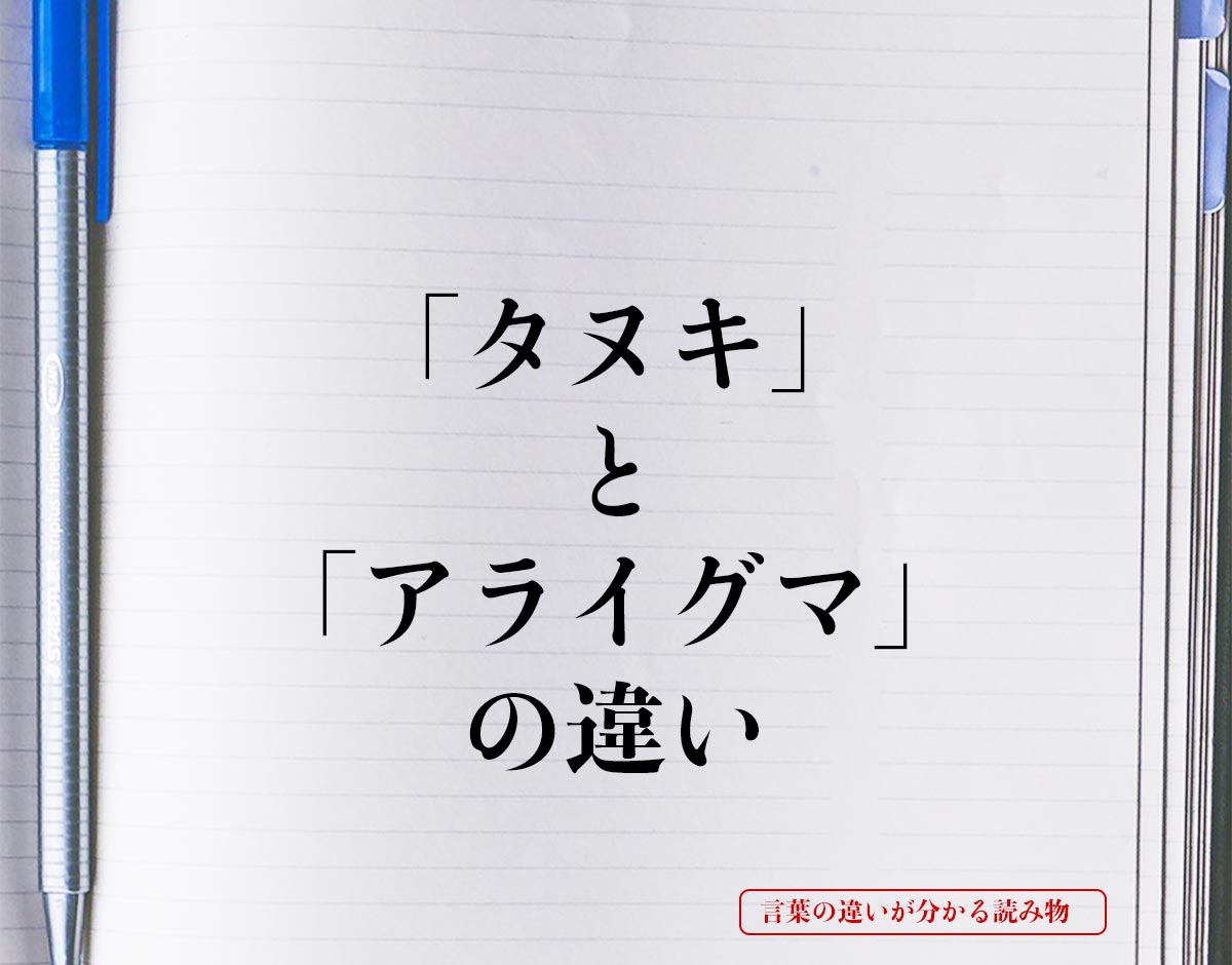 「タヌキ」と「アライグマ」の違いとは？