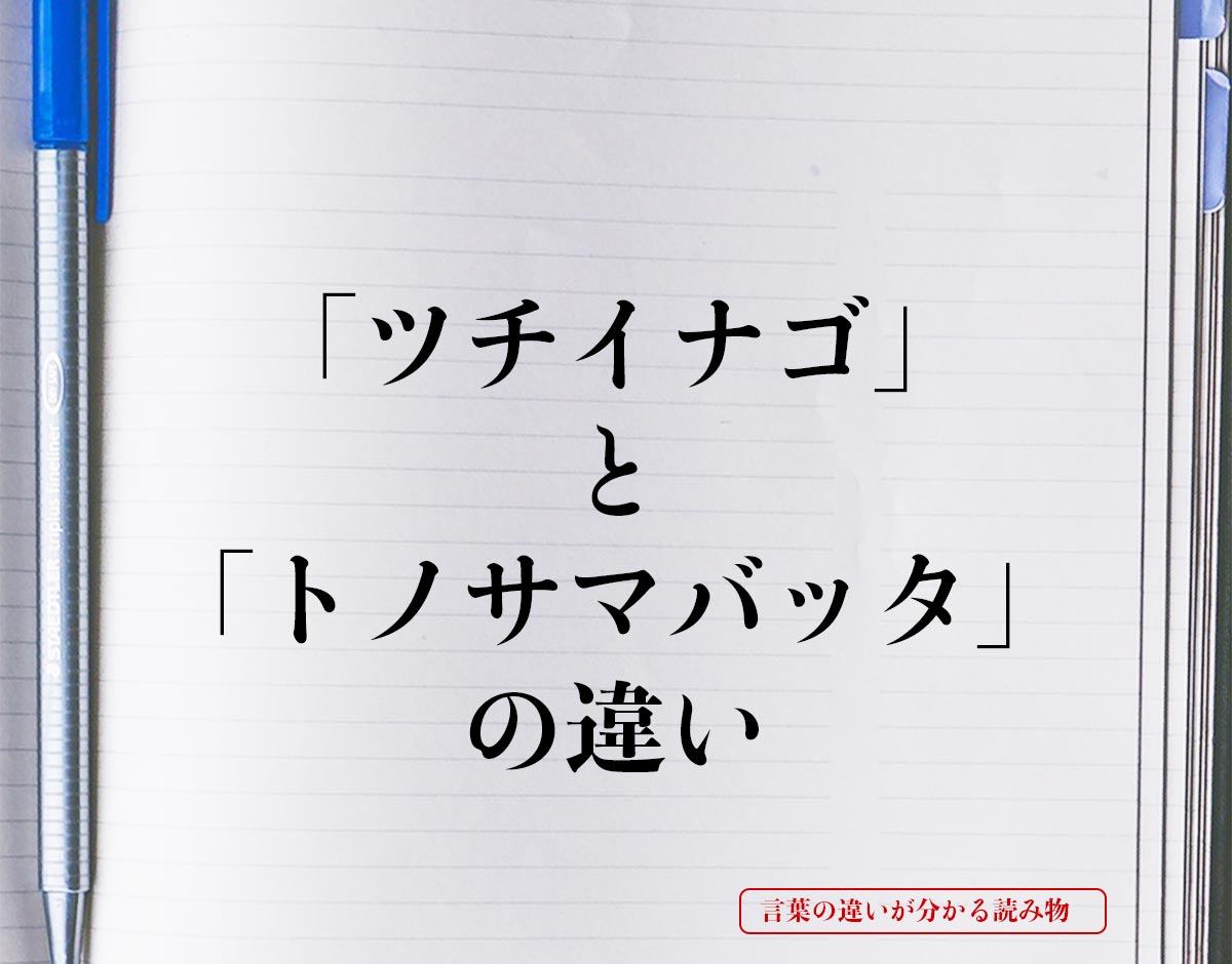 「ツチイナゴ」と「トノサマバッタ」の違いとは？