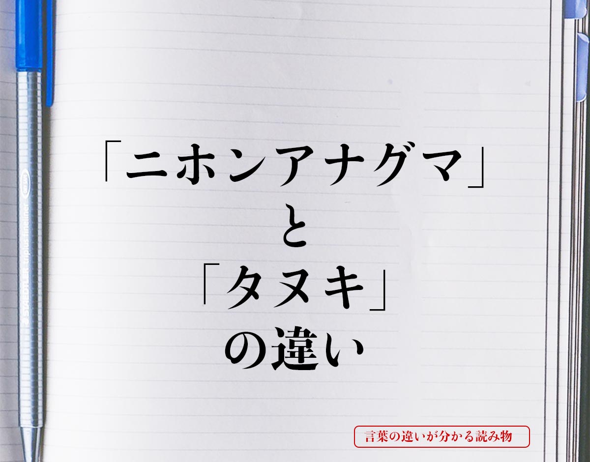 「ニホンアナグマ」と「タヌキ」の違いとは？