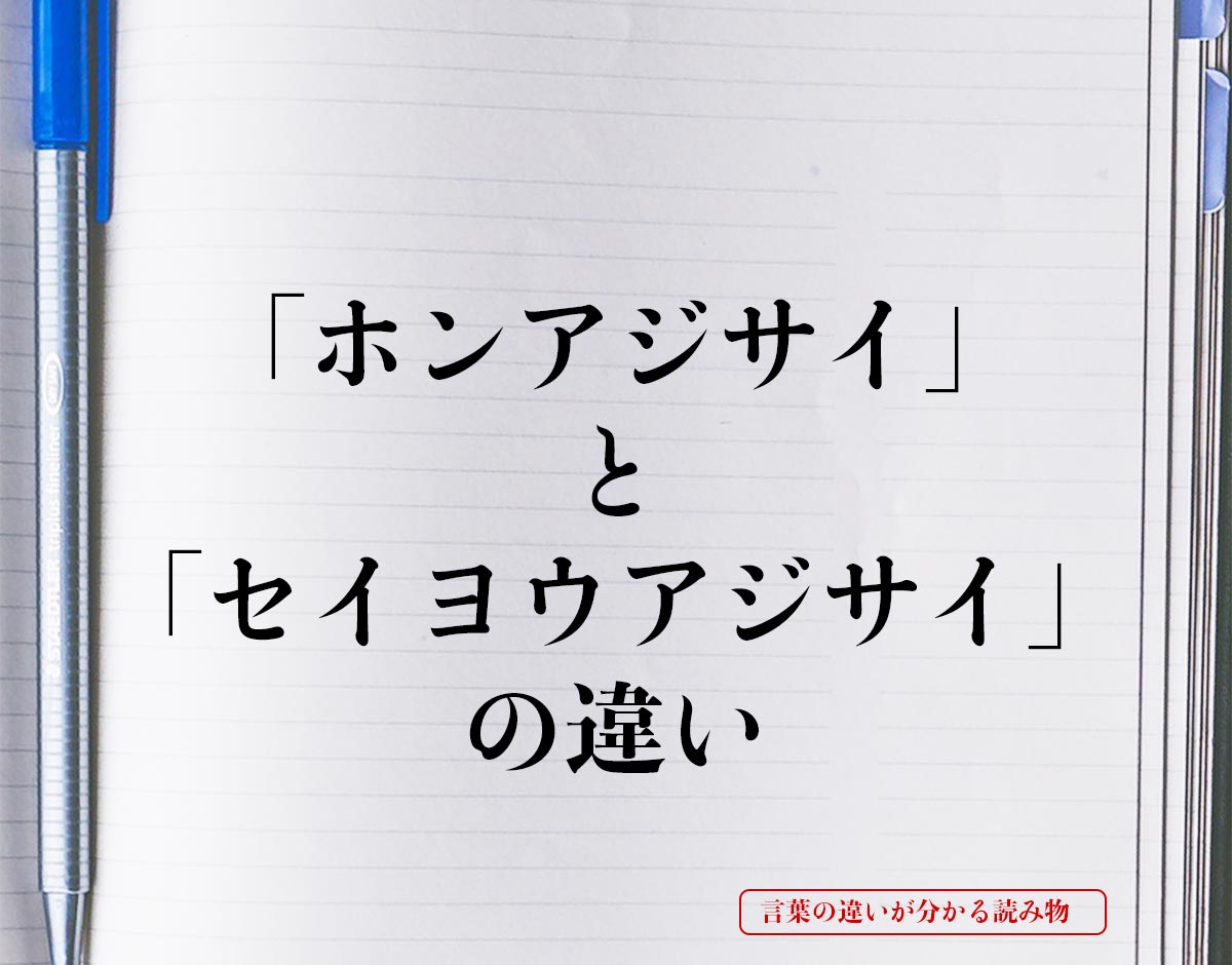 「ホンアジサイ」と「セイヨウアジサイ」の違いとは？