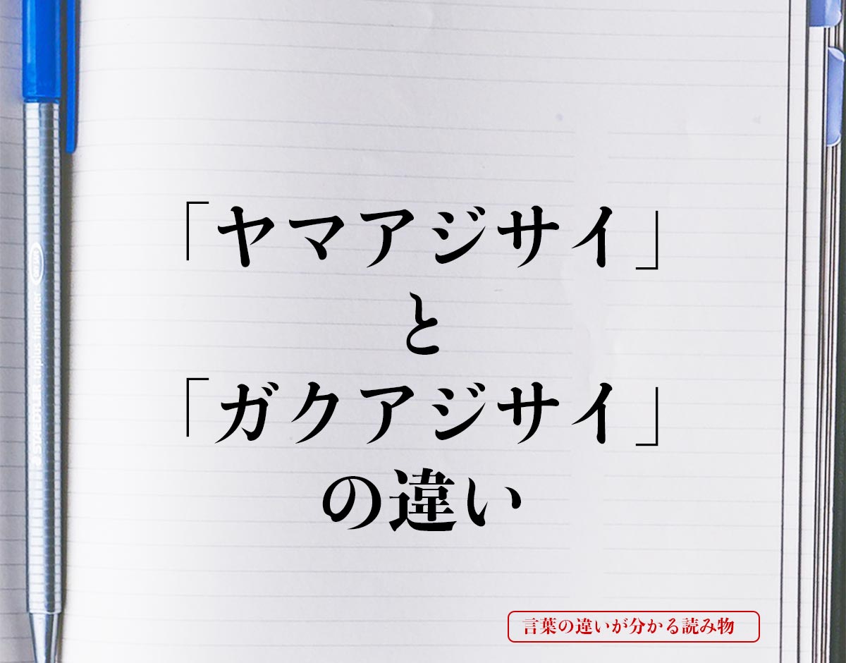 「ヤマアジサイ」と「ガクアジサイ」の違いとは？