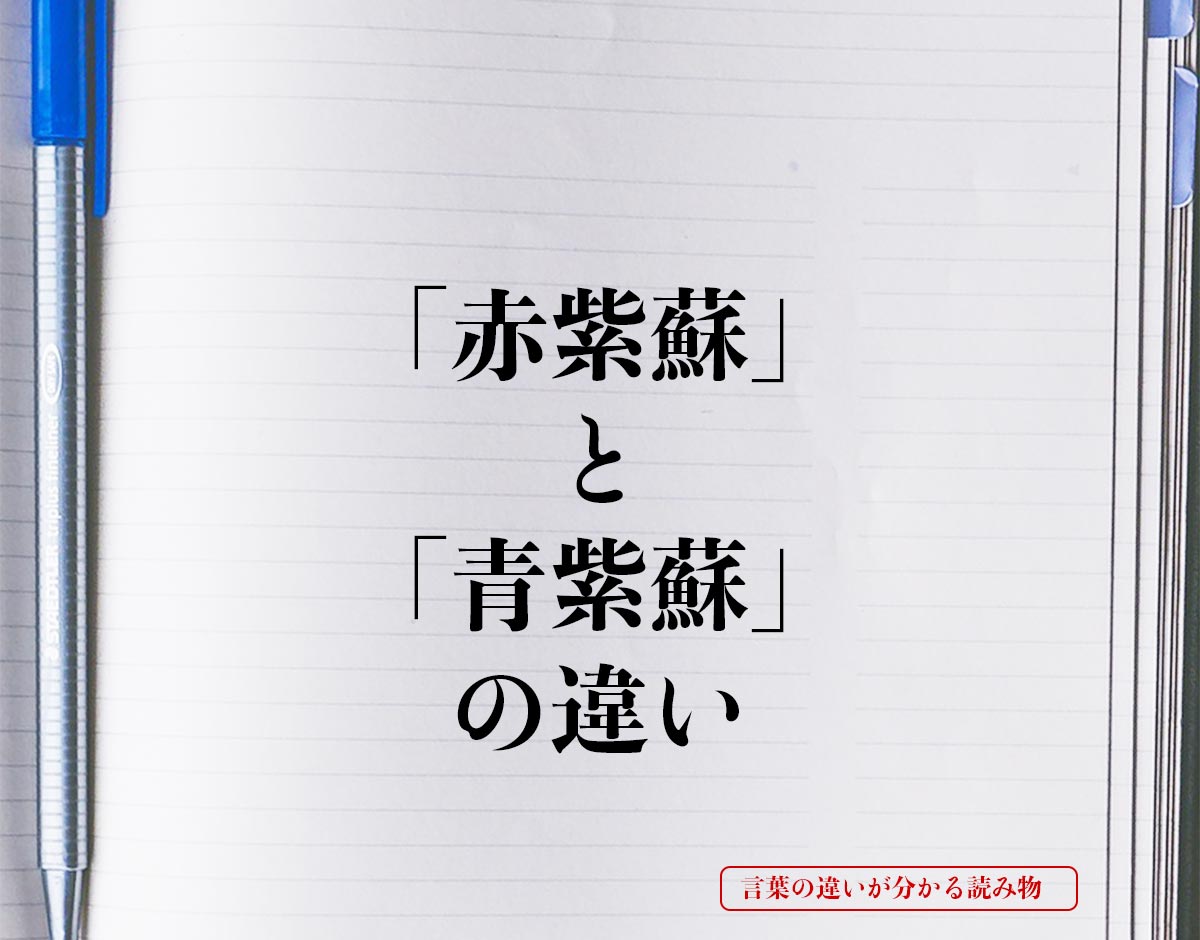 「赤紫蘇」と「青紫蘇」の違いとは？