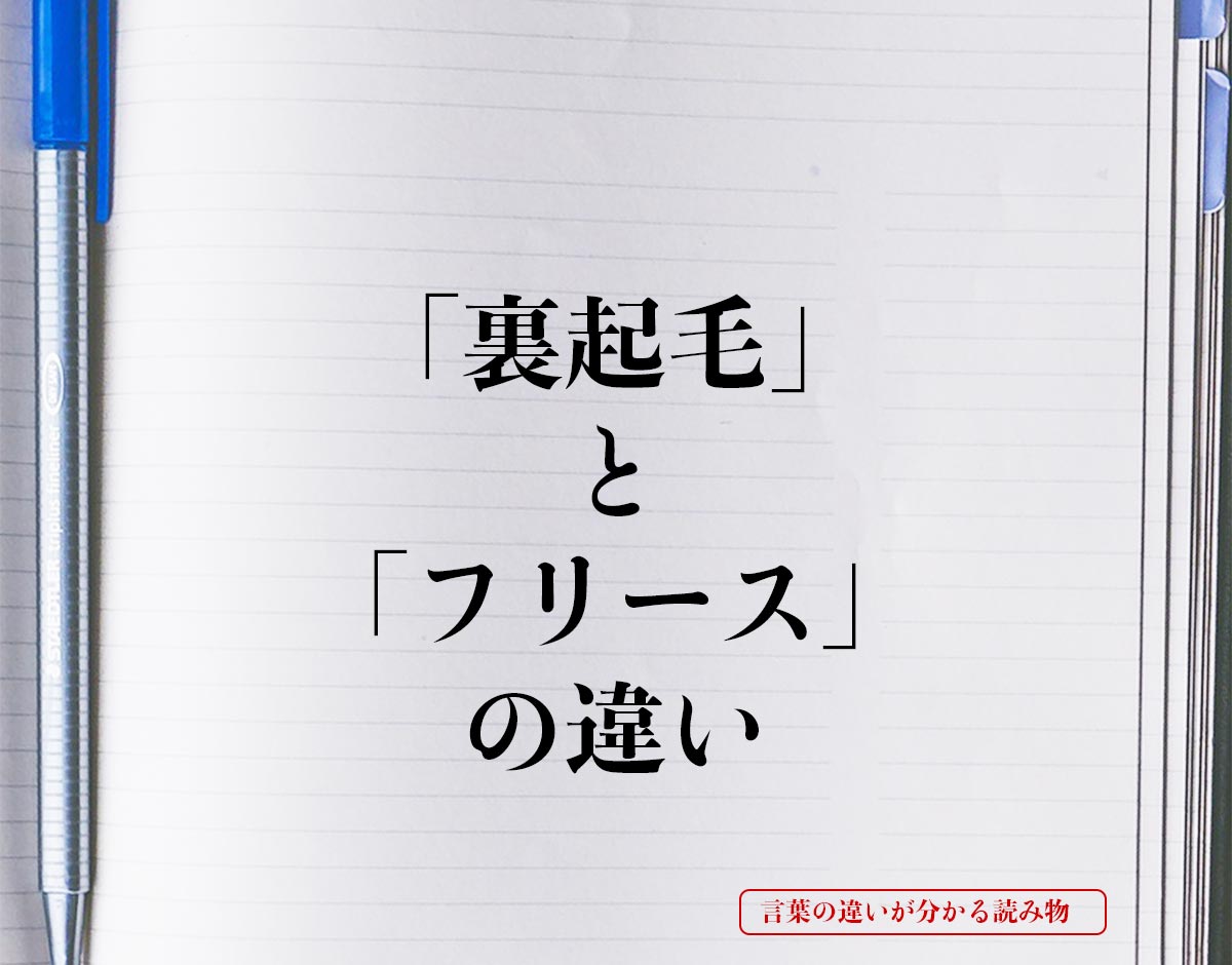 「裏起毛」と「フリース」の違いとは？