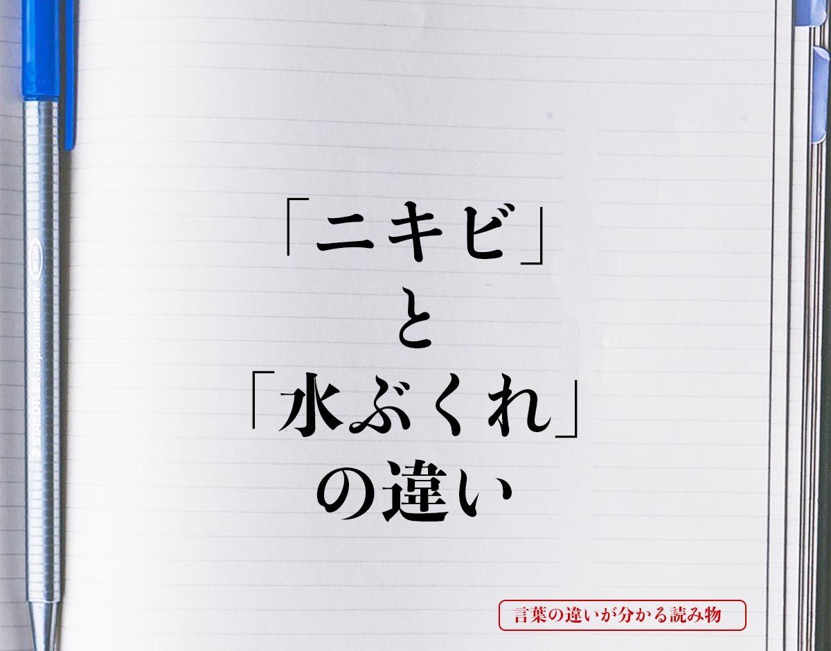 「ニキビ」と「水ぶくれ」の違いとは？