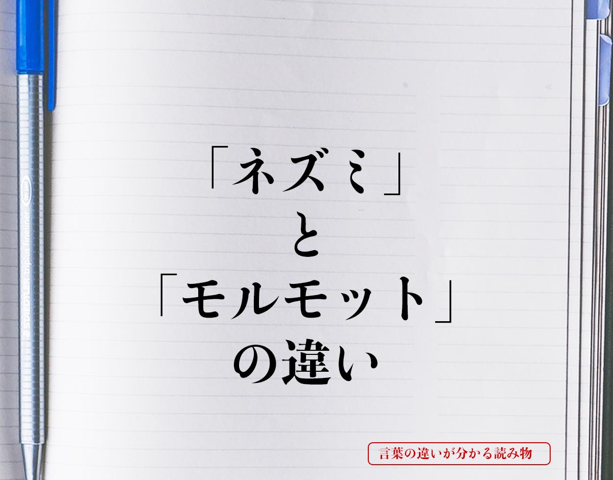 「ネズミ」と「モルモット」の違いとは？