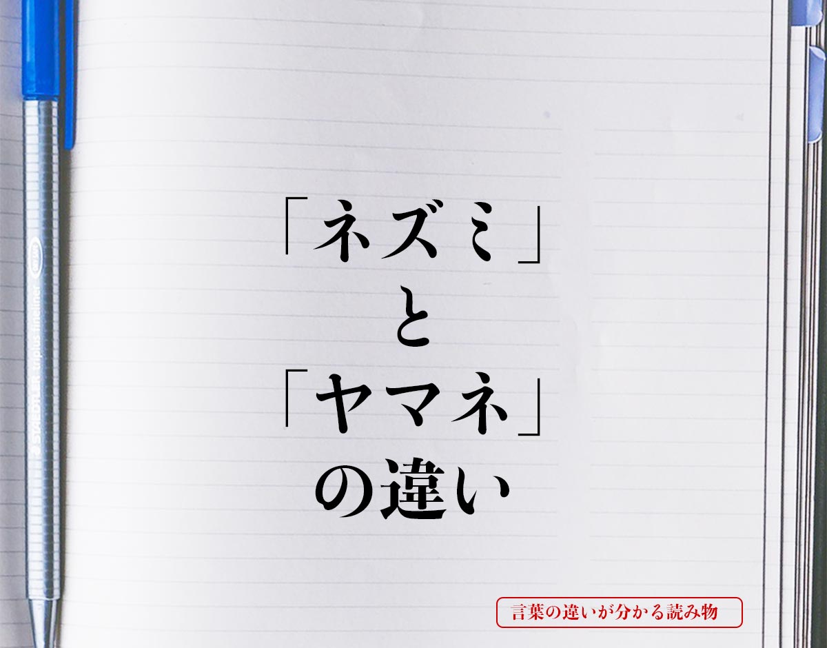 「ネズミ」と「ヤマネ」の違いとは？