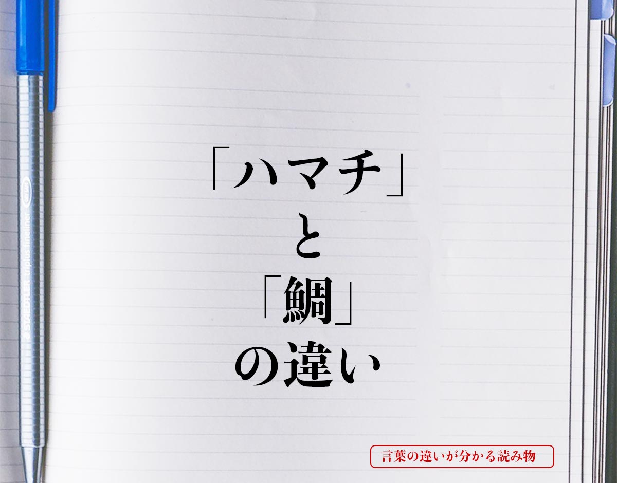 「ハマチ」と「鯛」の違いとは？