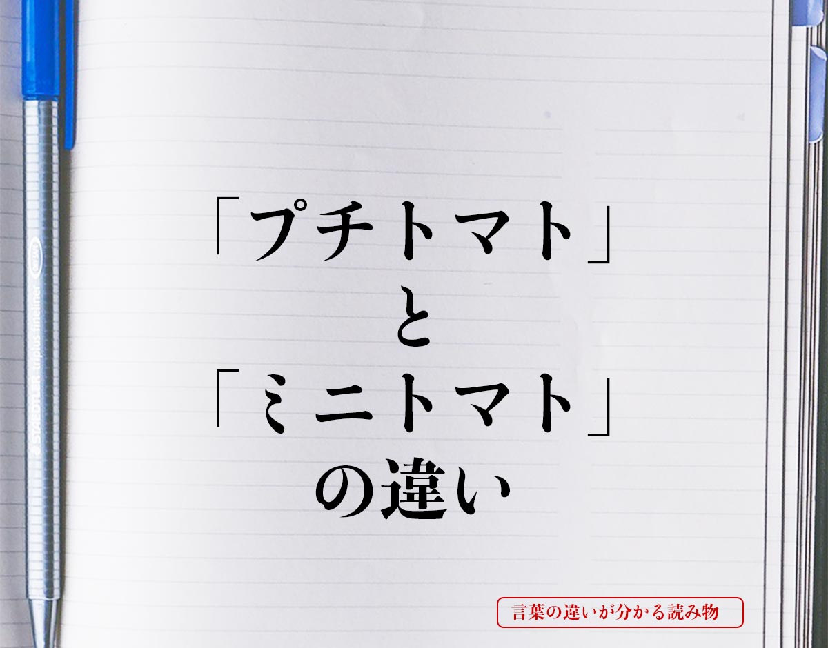 「プチトマト」と「ミニトマト」の違いとは？