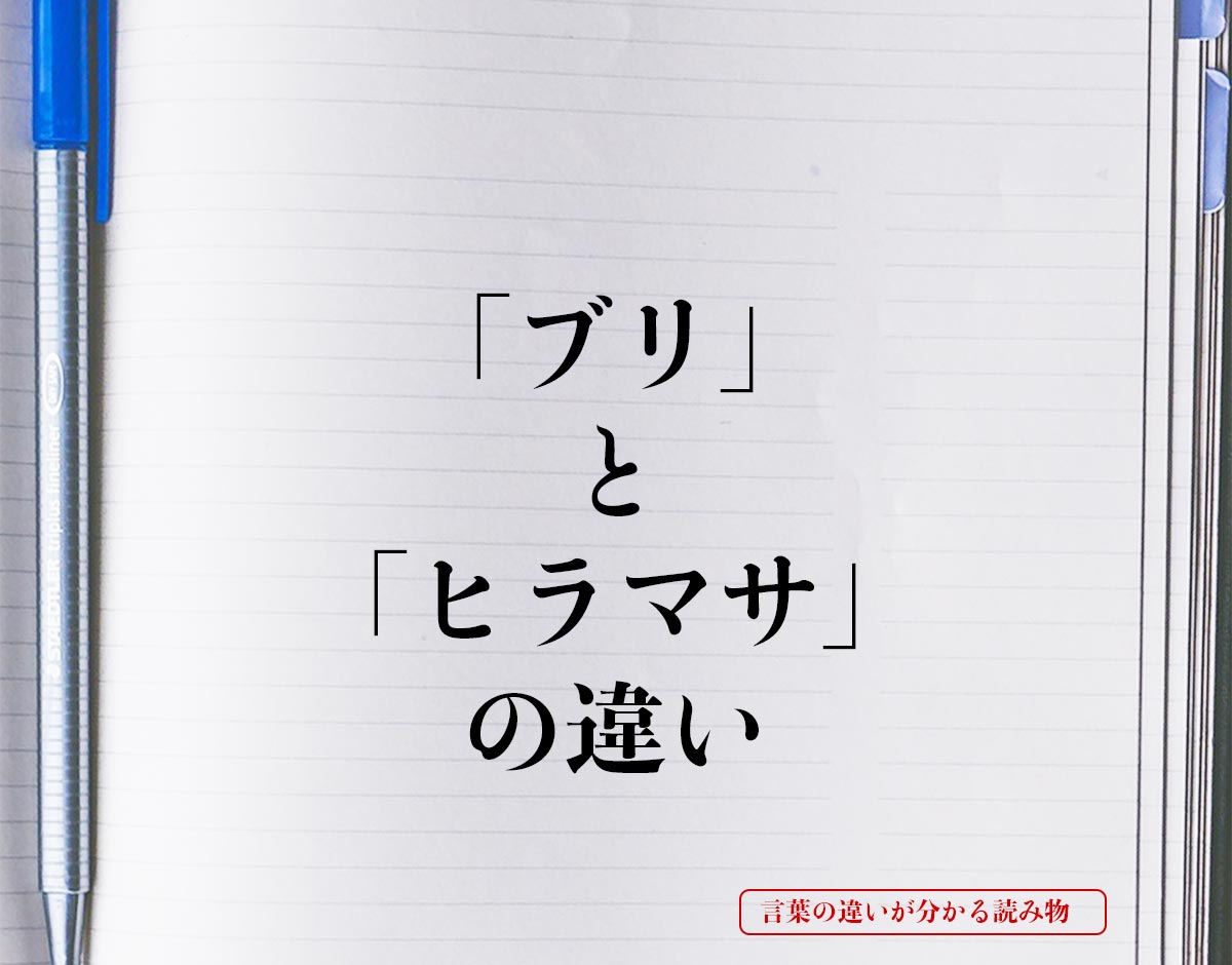 「ブリ」と「ヒラマサ」の違いとは？