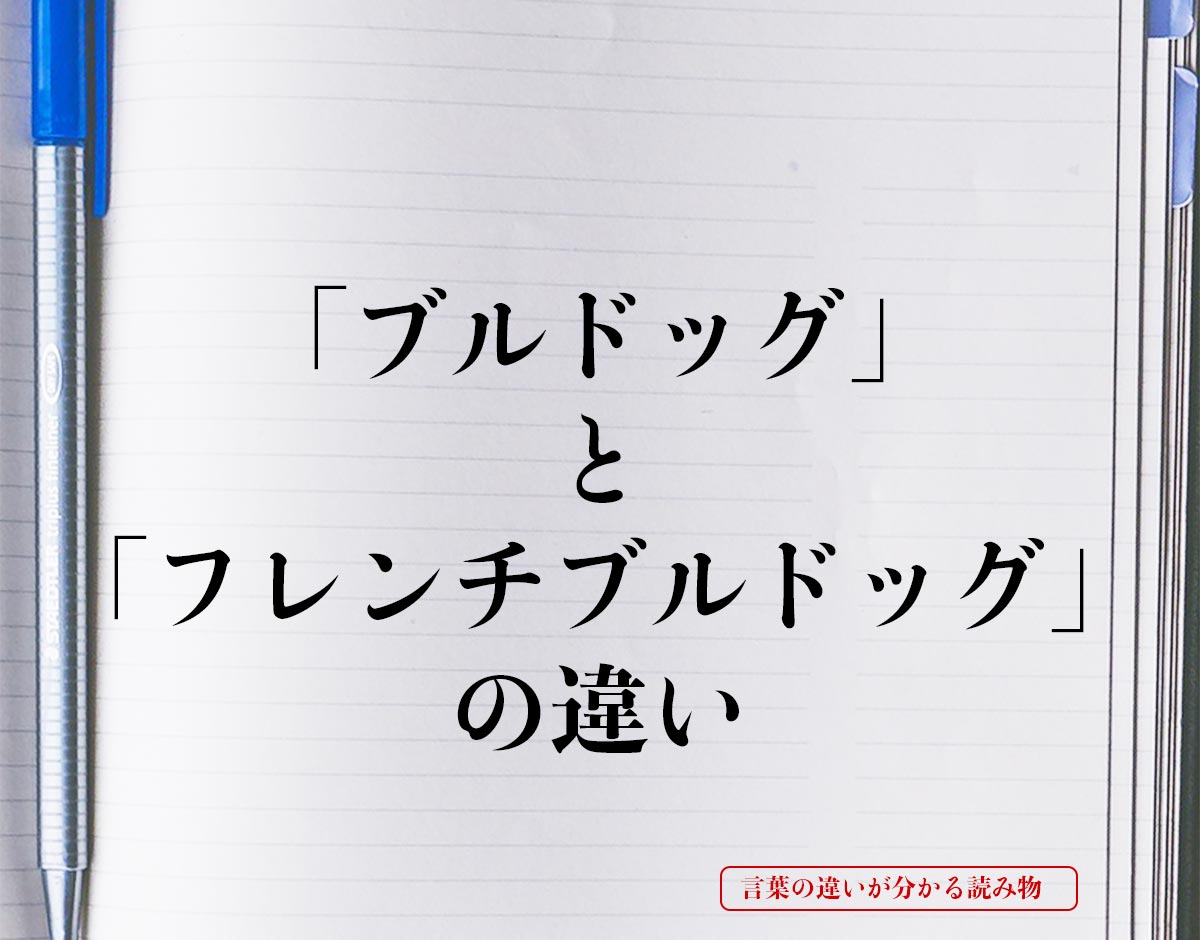 「ブルドッグ」と「フレンチブルドッグ」の違いとは？