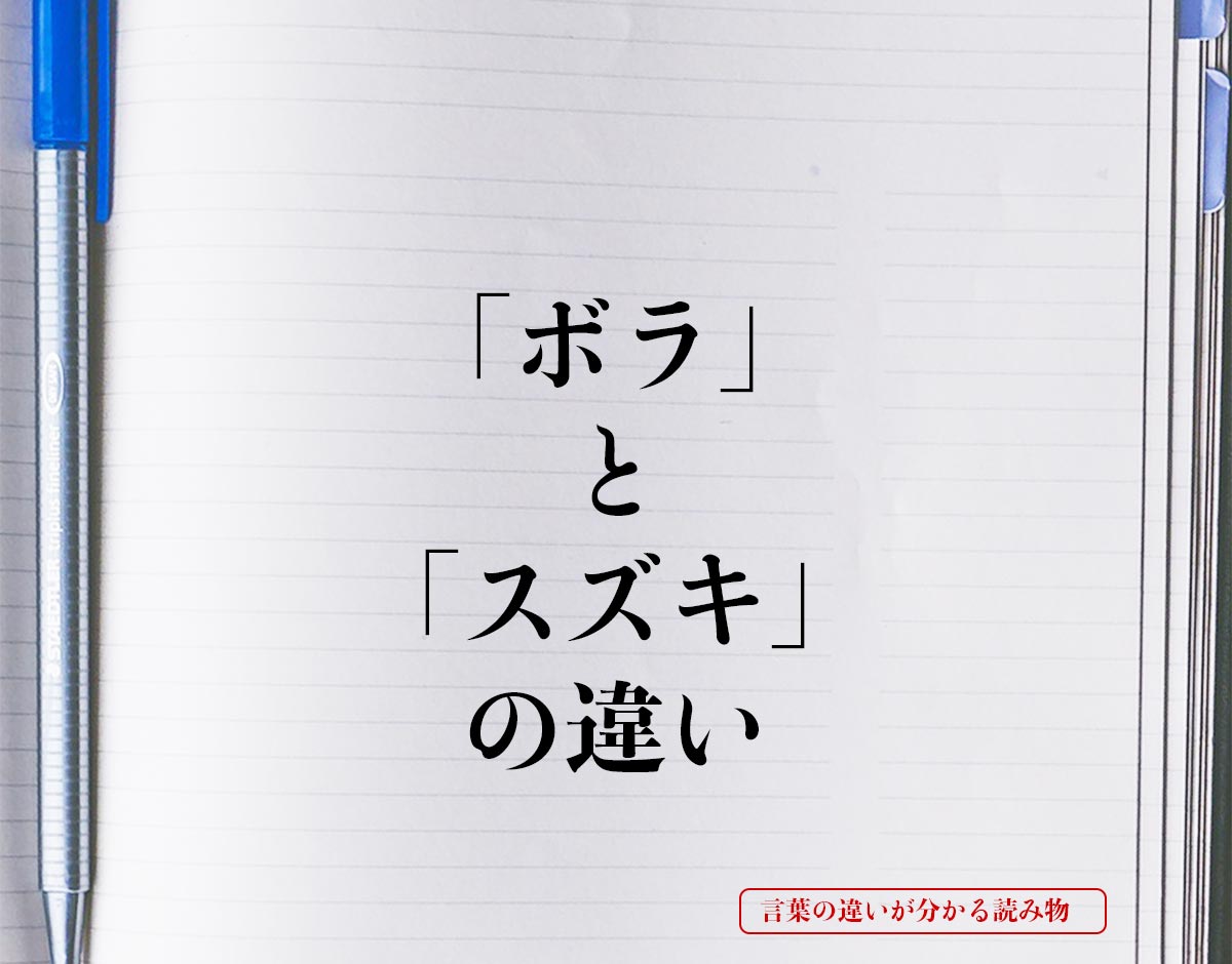 「ボラ」と「スズキ」の違いとは？