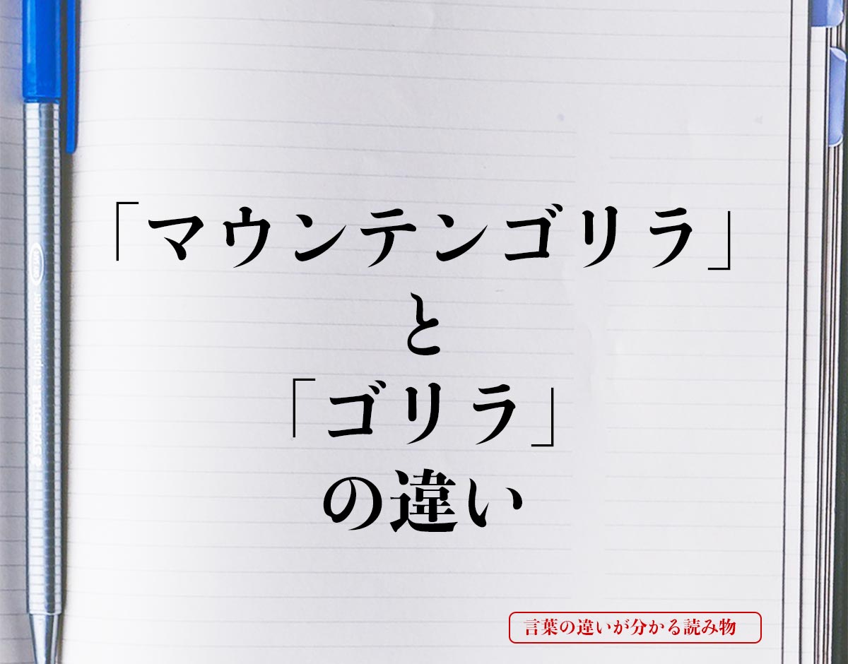 「マウンテンゴリラ」と「ゴリラ」の違いとは？